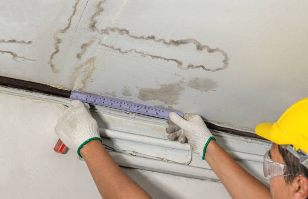 Reliable Water Damage contractor in Orem, UT by Water Damage Irwin